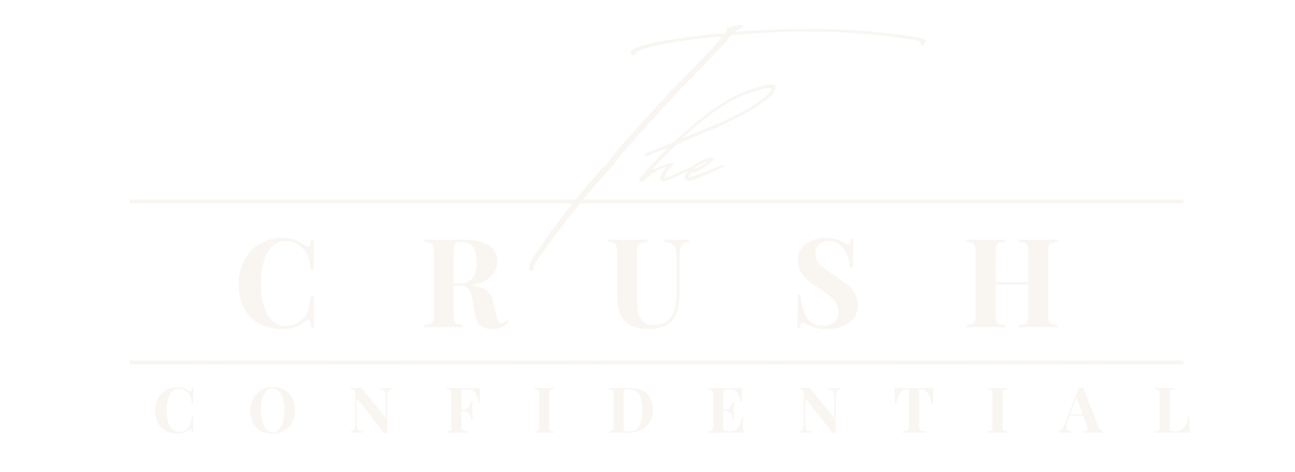 The Crush Confidential — full-service matchmaking and relationship curation